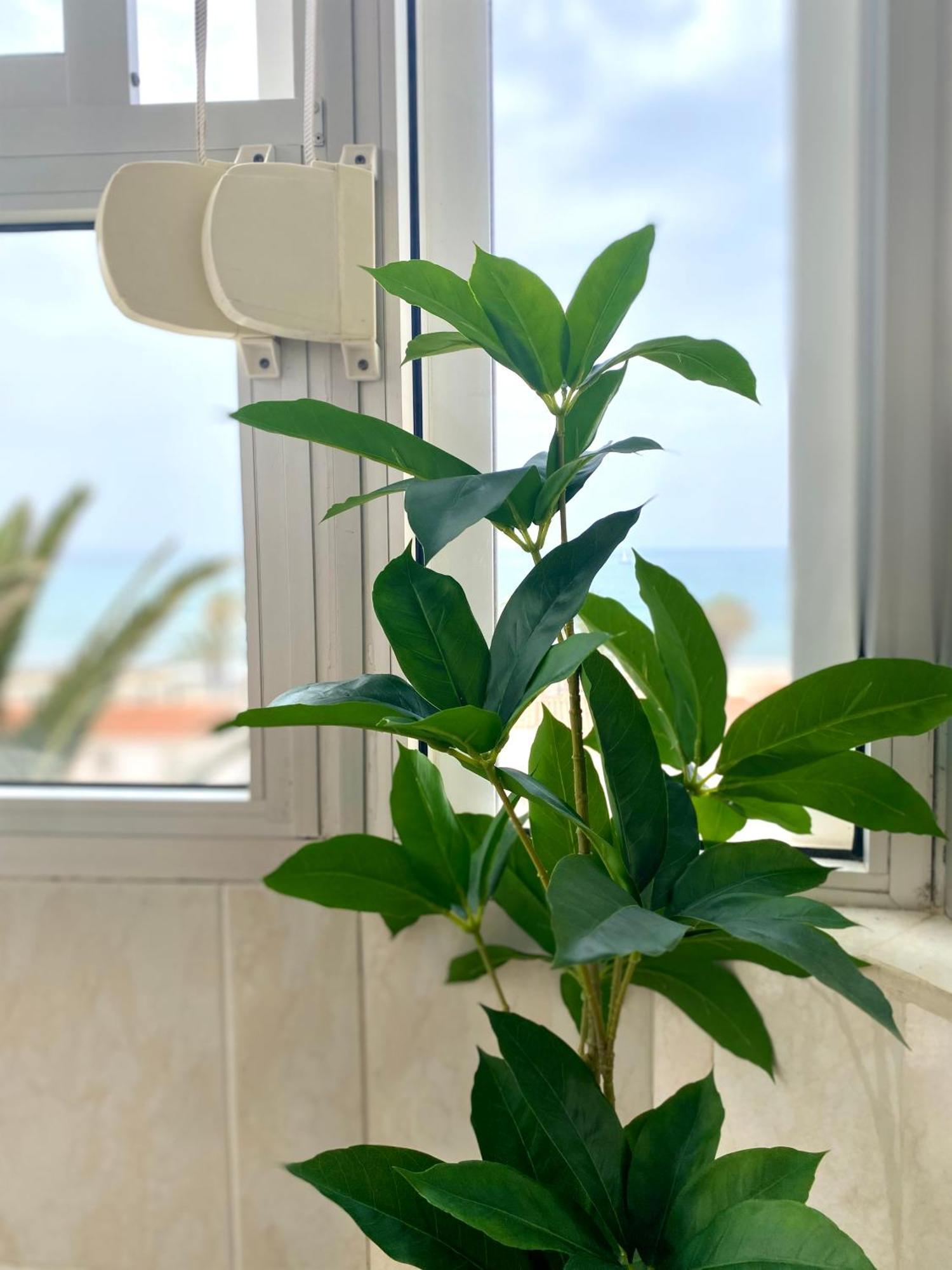 Apartamento Luz Del Mar Torrox Eksteriør billede